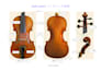 teach violin or viola for beginners